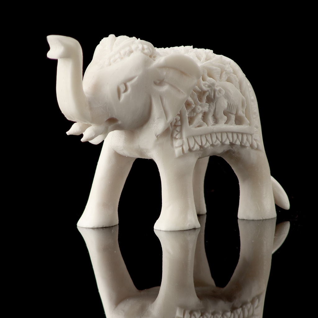 Tusker