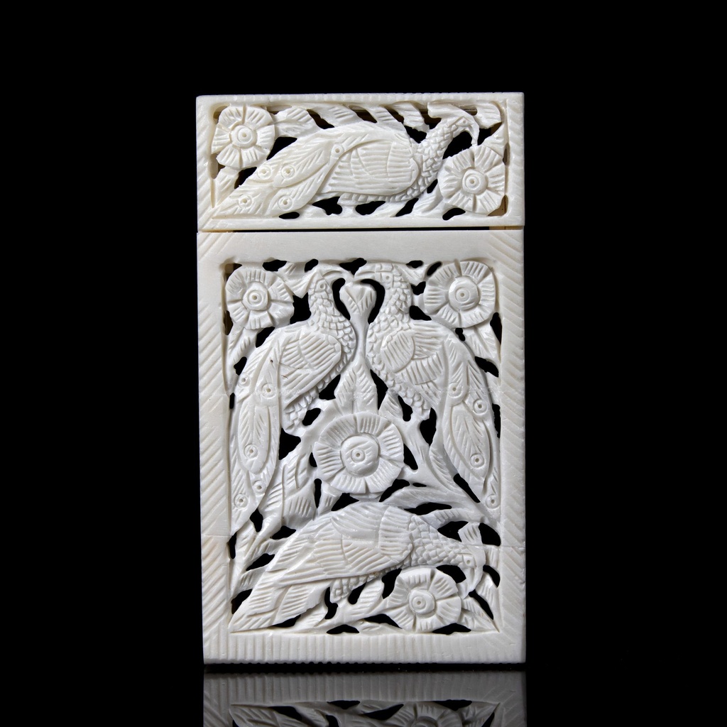 Feathered Bloom Case